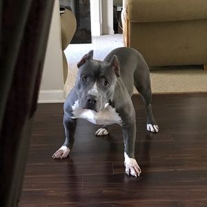 Meet your Posher, Eddie